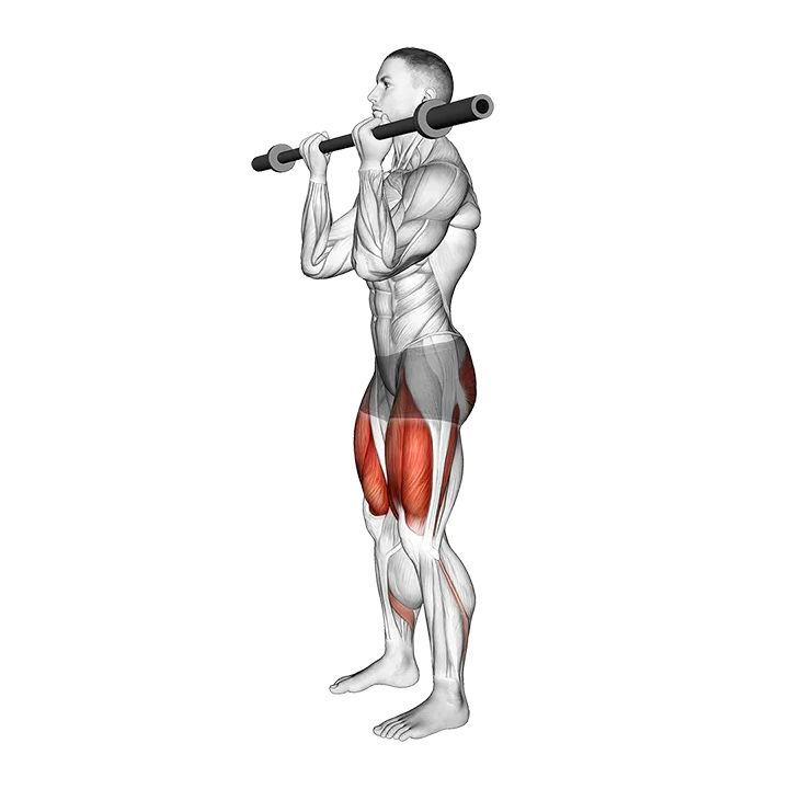 Barbell Core Squat exercise animation (Male)