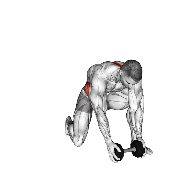 Dumbbell Half Kneeling Thor Lift exercise animation (Male)