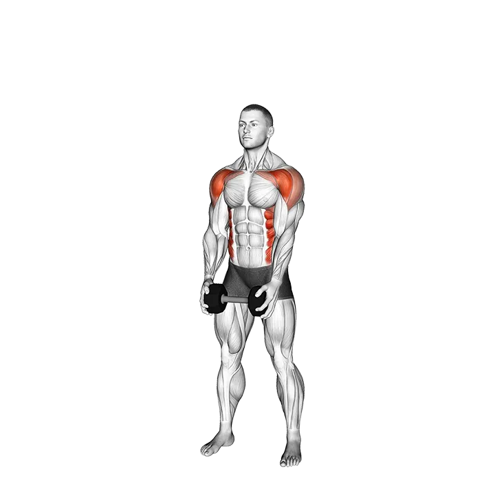 Dumbbell Standing Cross Clean exercise animation (Male)