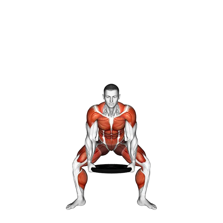 Weighted Plate Side-up Squat exercise animation (Male)