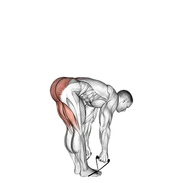 Band straight leg deadlift