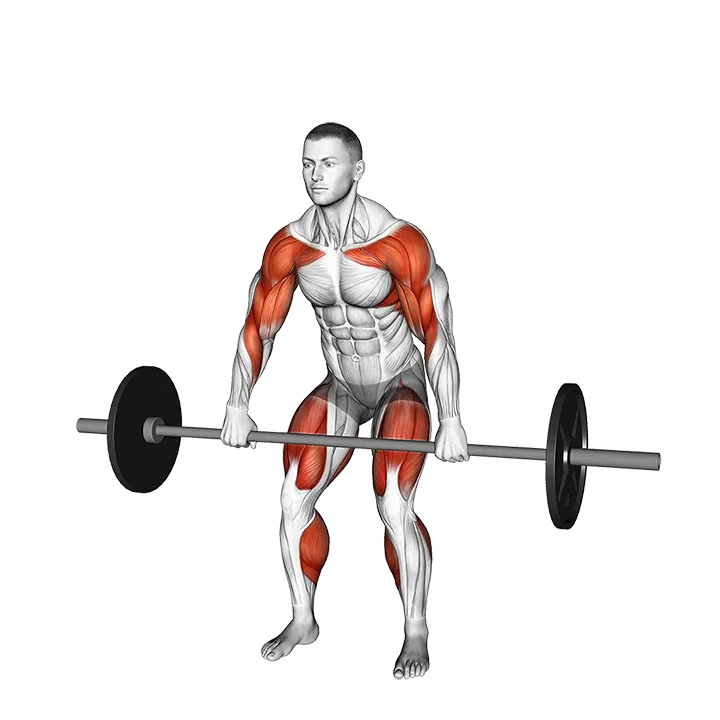 Barbell Hang Clean High Pull exercise animation (Male)