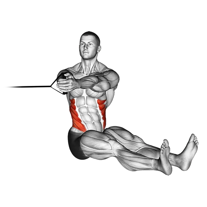 Band seated twist exercise animation (Male)