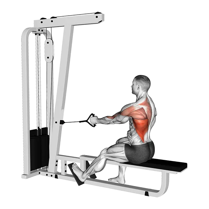 Cable Seated Single Arm Lats Focused Row exercise animation (Male)