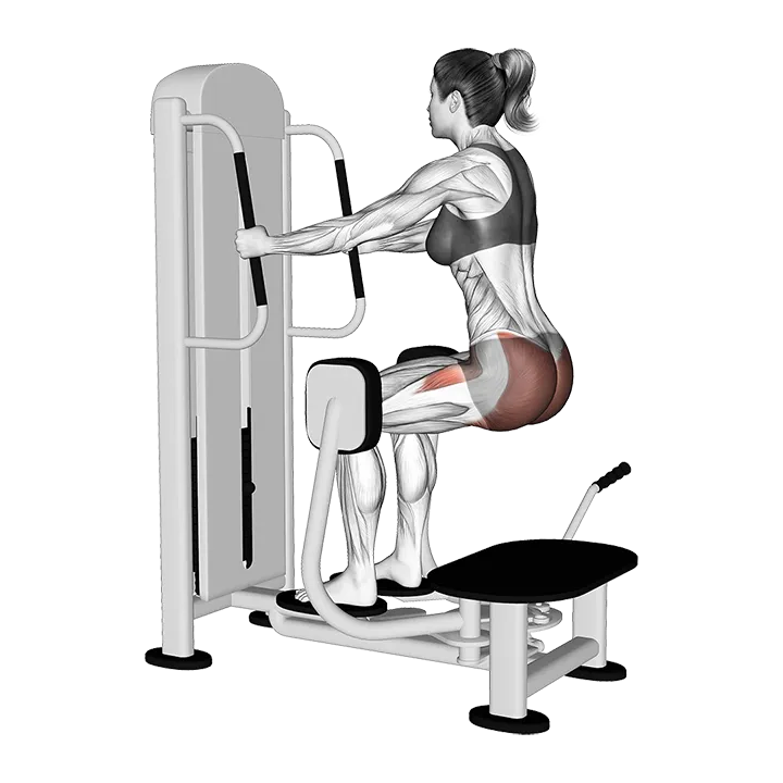 Lever Isometric Squat Hip Abduction exercise animation (Female)