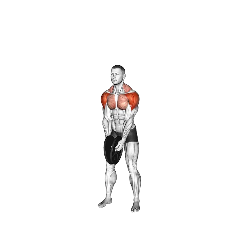 Weighted Plate LU Raise exercise animation (Male)