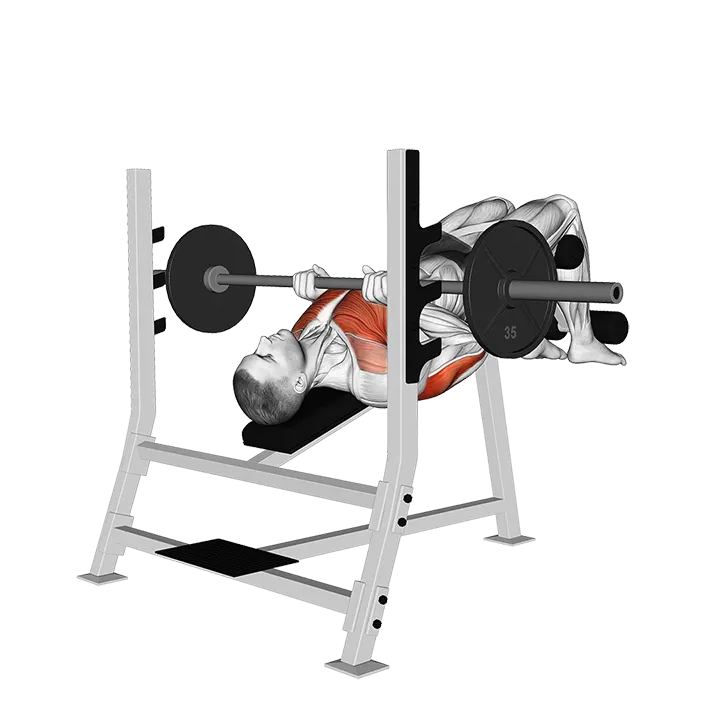 Barbell Decline Close grip Press exercise animation (Male)