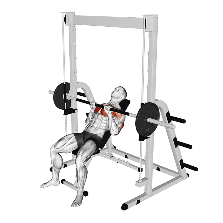 Smith Incline Close grip Bench Press exercise animation (Male)
