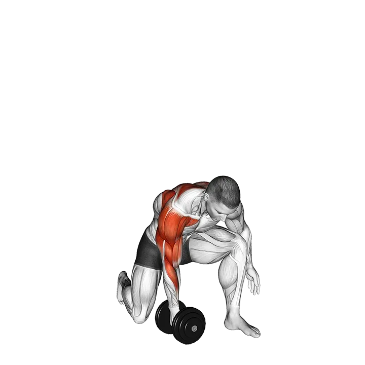 Dumbbell Half Kneeling Single Arm Clean Press exercise animation (Male)