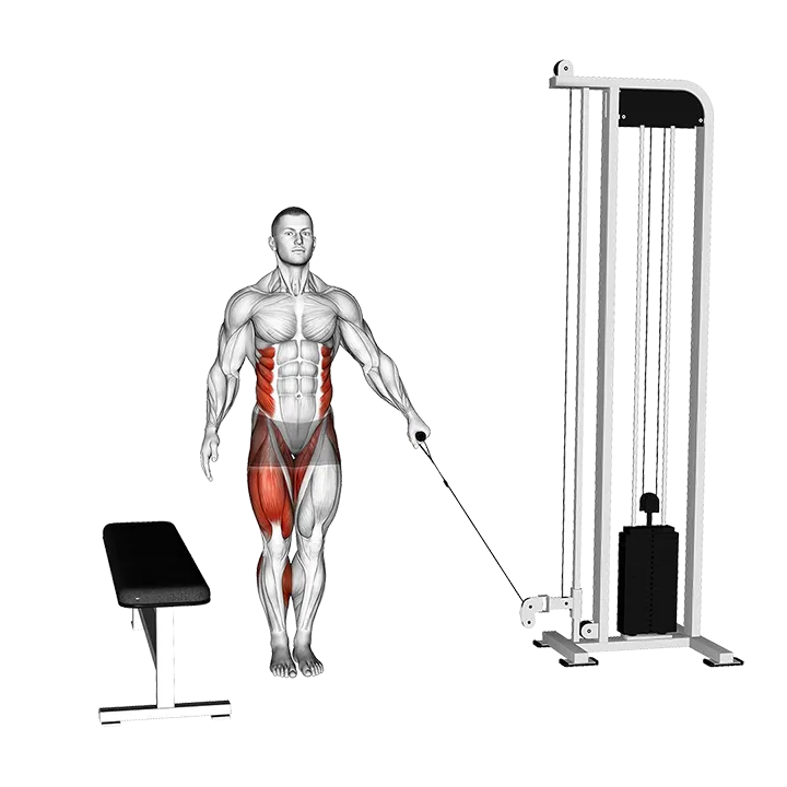 Cable Lateral Step-up exercise animation (Male)