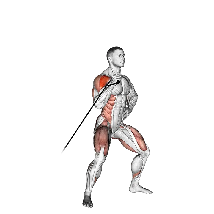 Band twisting overhead press exercise animation (Male)