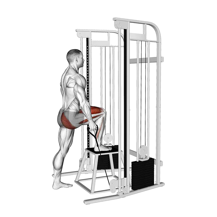 Cable Unilateral Step-up exercise animation (Male)