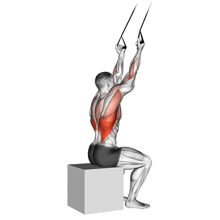 Band underhand pulldown exercise animation (Male)