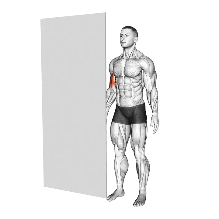 Standing Isometric Biceps Hold exercise animation (Male)