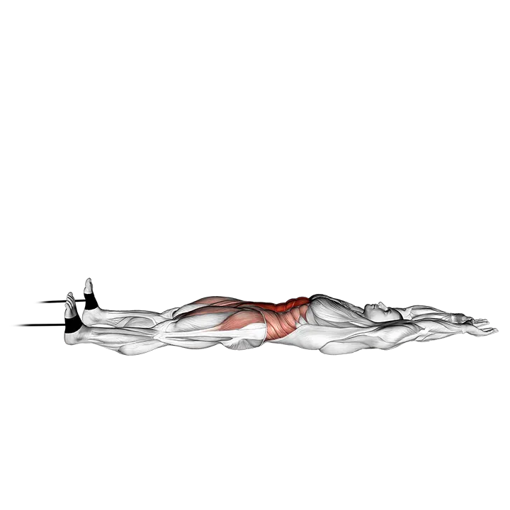 Band v-up exercise animation (Male)