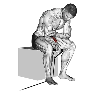 Band wrist curl