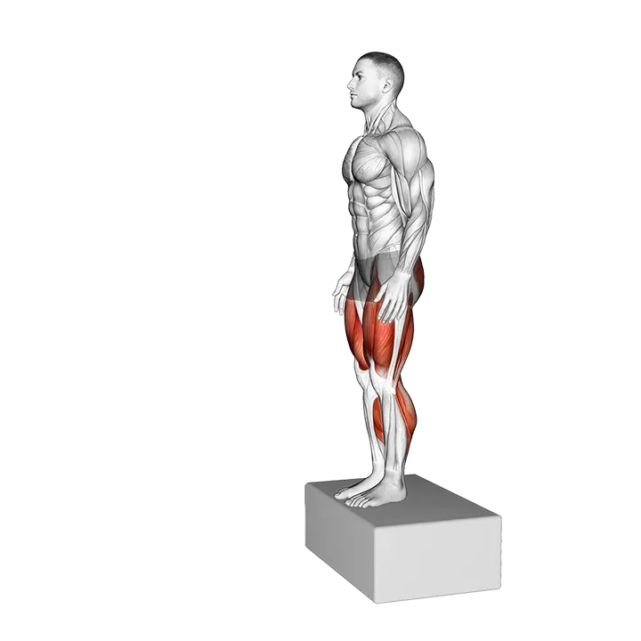 Box Jump Drop 2 Foot Land exercise animation (Male)