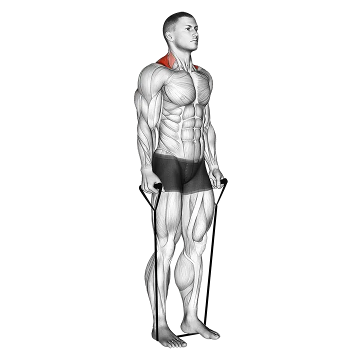 Band shrug exercise animation (Hombre)