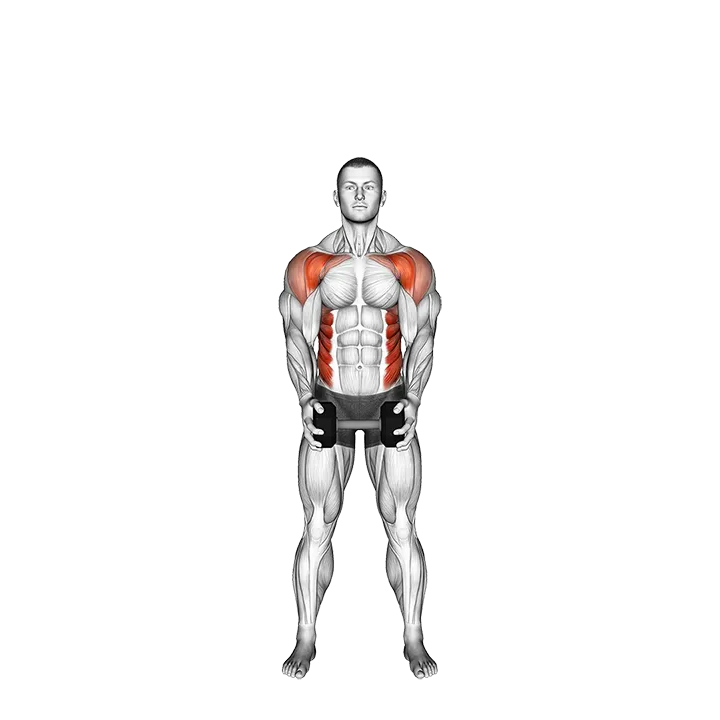 Dumbbell Standing Front Raise Twist exercise animation (Male)