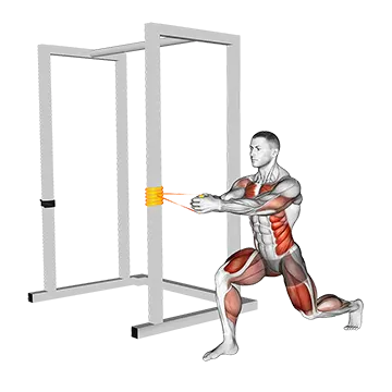 Resistance Band Alternating Split Stance Pallof Press