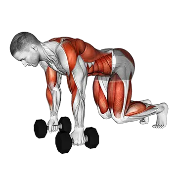 Dumbbell Bear Plank Alternating Row