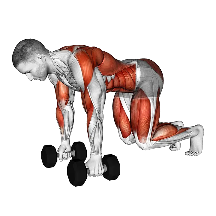 Dumbbell Bear Plank Alternating Row exercise animation (Male)