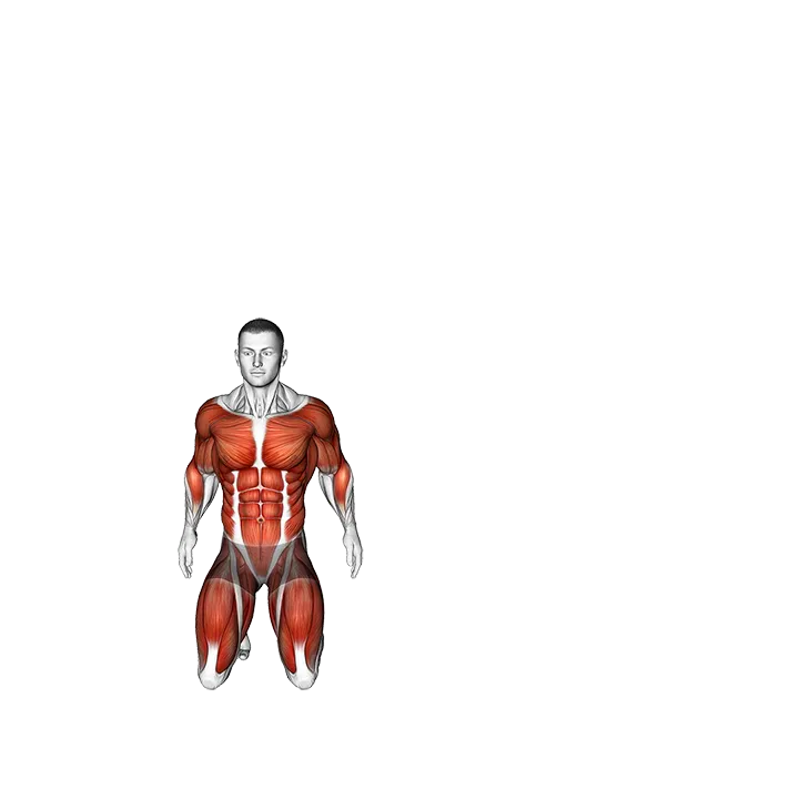 Jump-up Side Jump exercise animation (Male)