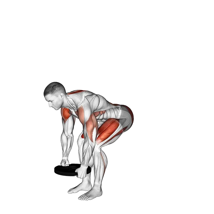 Weighted Plate Deadlift Rear Lunge with Overhead Press exercise animation (Male)