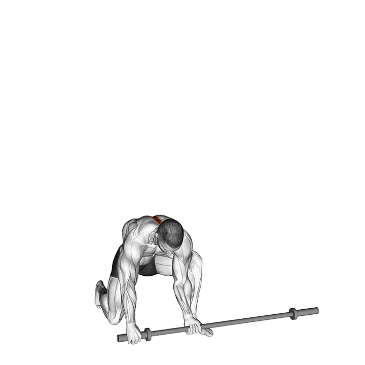 Barbell Half Kneeling Thor Lift exercise animation (Male)