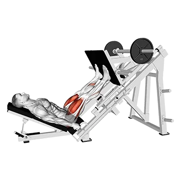 Sled Alternating Single Leg Negativ Press