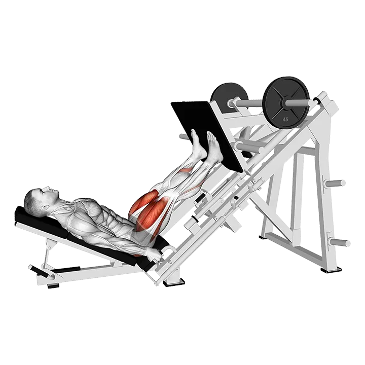 Sled Alternating Single Leg Negativ Press exercise animation (Male)