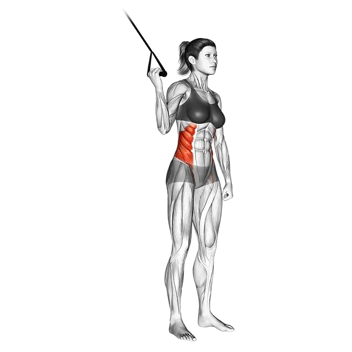 Band Side Crunch exercise animation (Female)