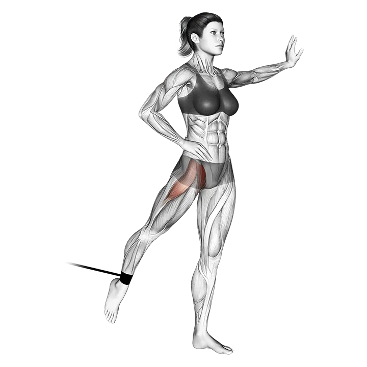Band Standing Leg Raise exercise animation (Mujer)