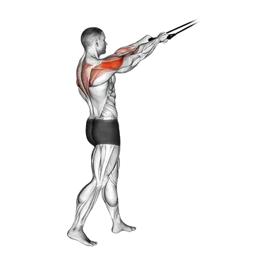 Band standing rear delt row