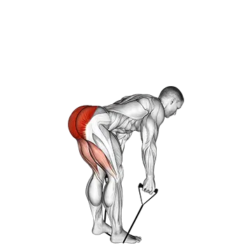 Band straight back stiff leg deadlift