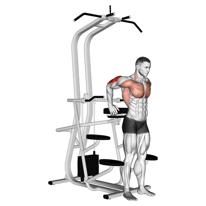 Assisted Standing Triceps Dip exercise animation (Male)