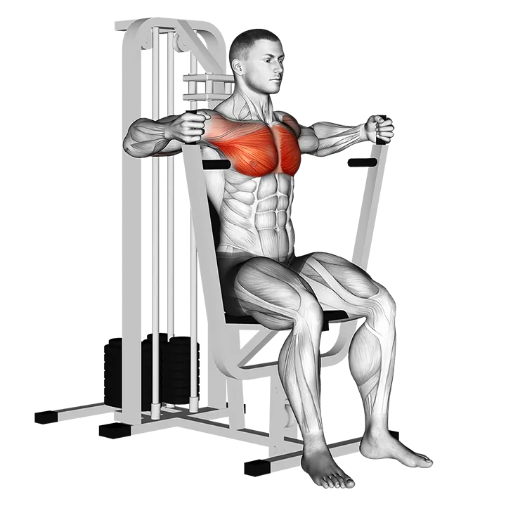 Lever Parallel Chest Press exercise animation (Hombre)