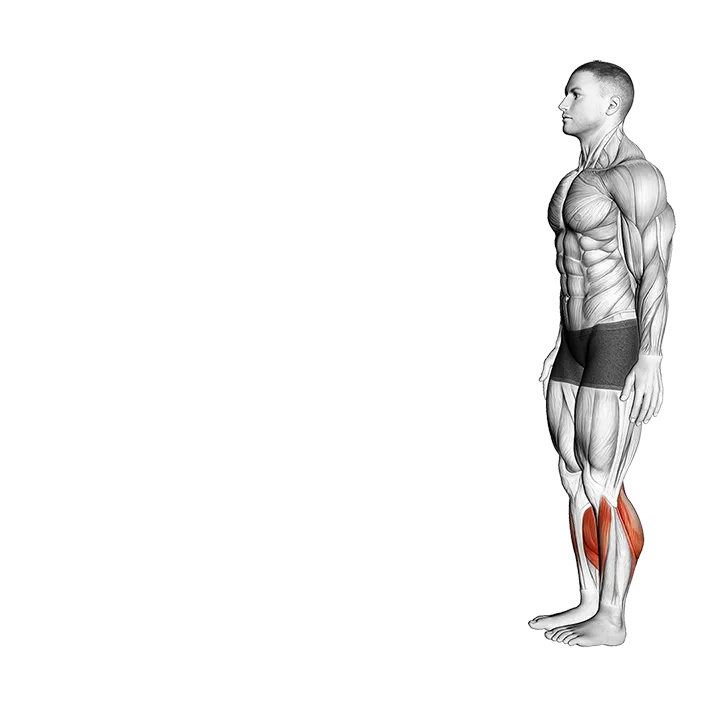 Heel Walk exercise animation (Male)