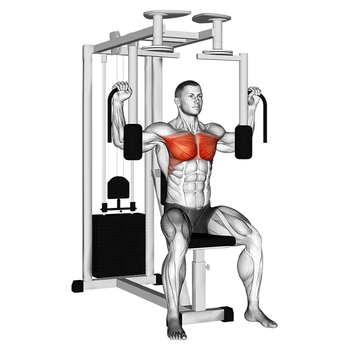 Lever Pec Deck Fly exercise animation (Male)