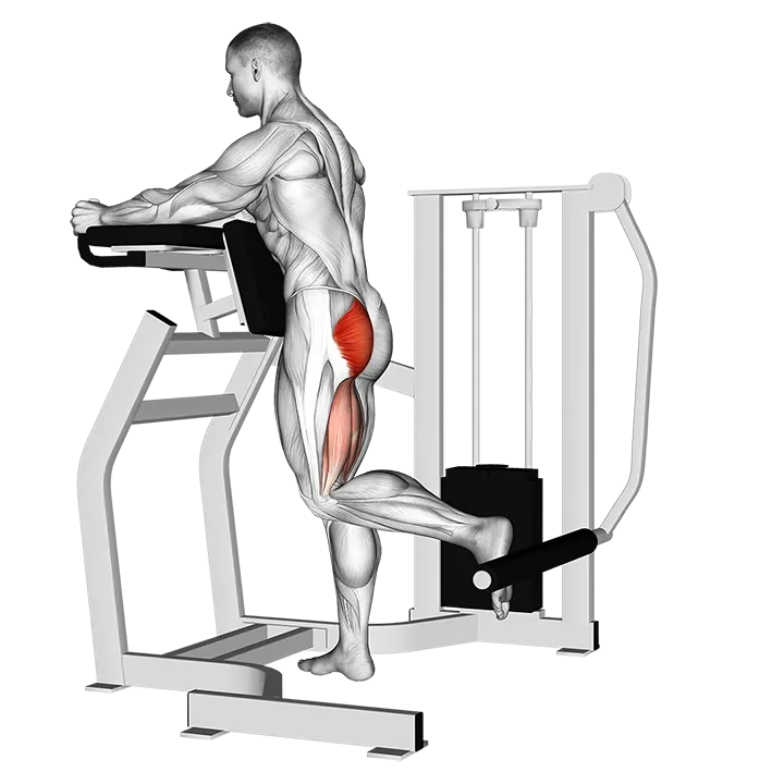 Lever Standing Hip Extension exercise animation (Male)