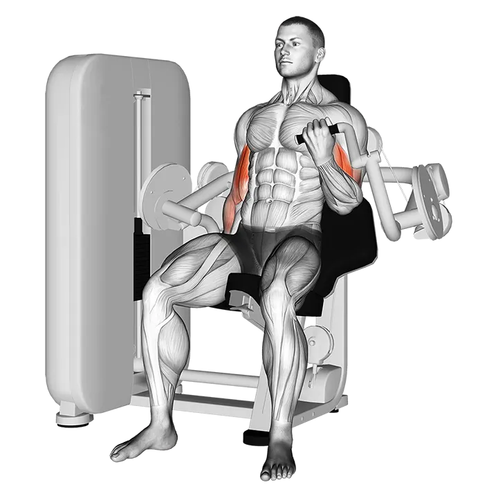 Lever Alternate Biceps Curl exercise animation (Male)
