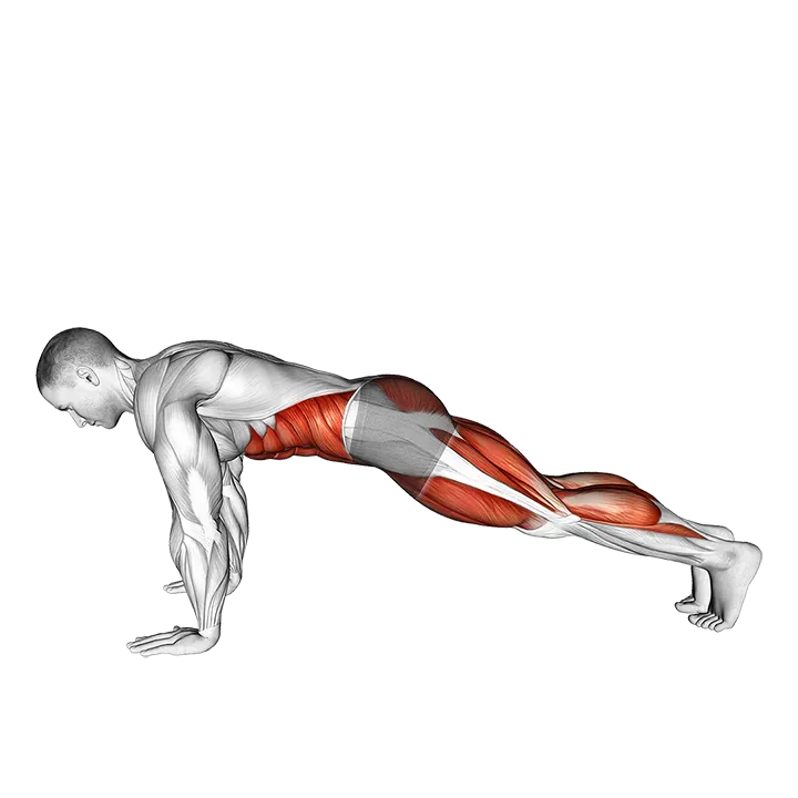 Plank Jump In Squat exercise animation (Male)