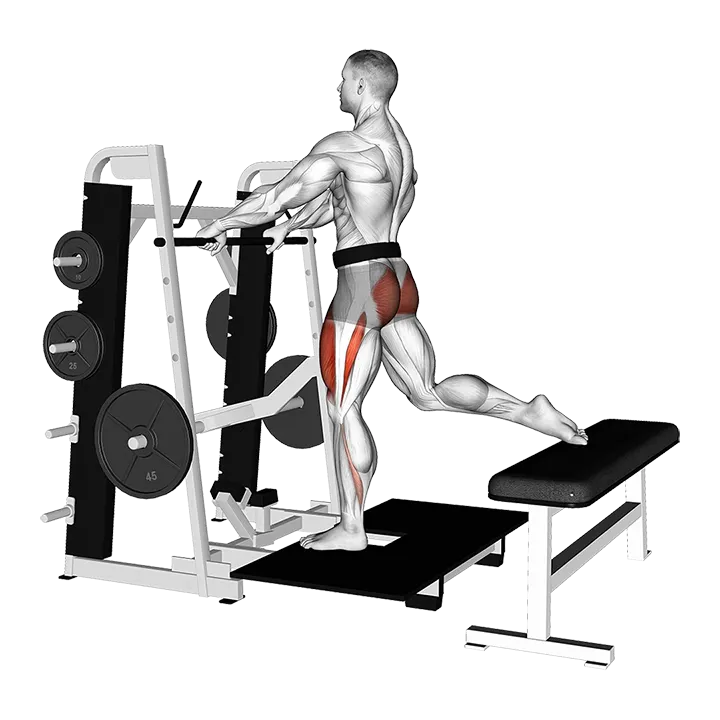 Lever Belt Bulgarian Split Squat exercise animation (Male)