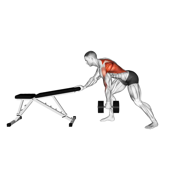 Dumbbell Kroc Row exercise animation (Male)