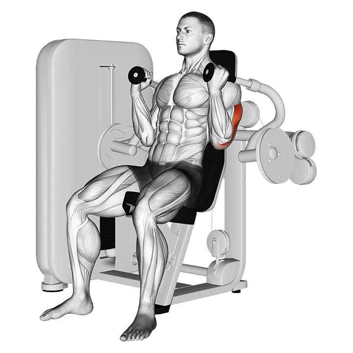 Lever Triceps Extension exercise animation (Male)