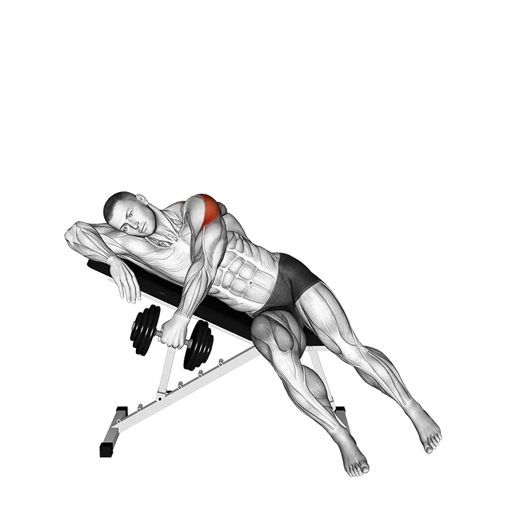 Dumbbell Powell Raise exercise animation (Male)