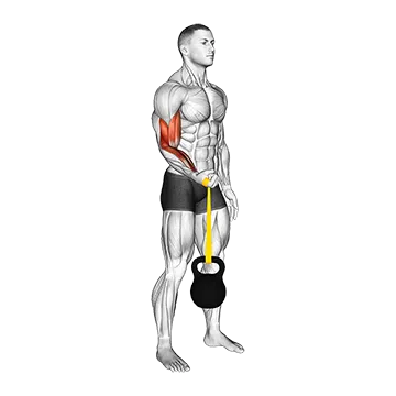 Resistance Band Weighted Standing Pronation Twist Curl (Arm Wrestler)
