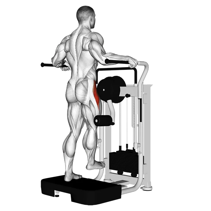 Lever Side Hip Abduction exercise animation (Hombre)
