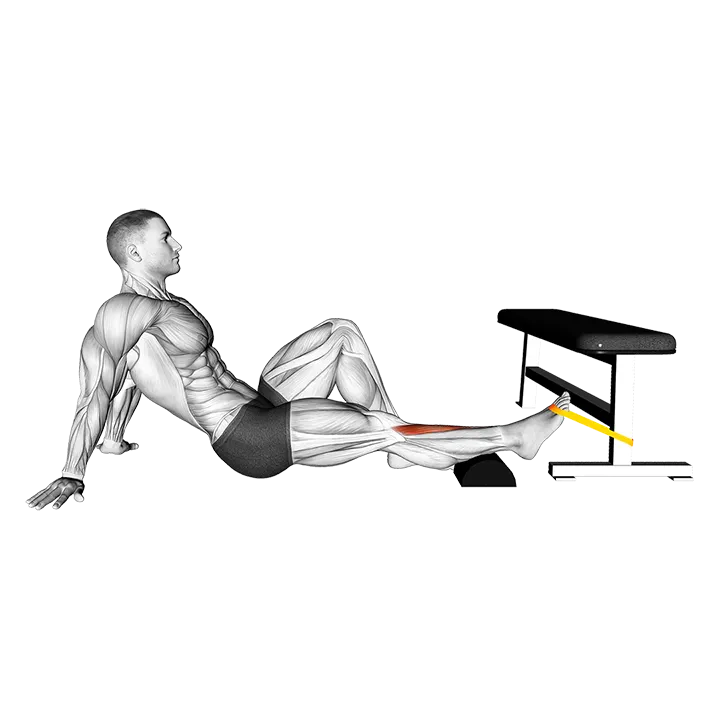 Resistance Band Sitting Floor Tibialis Press exercise animation (Male)