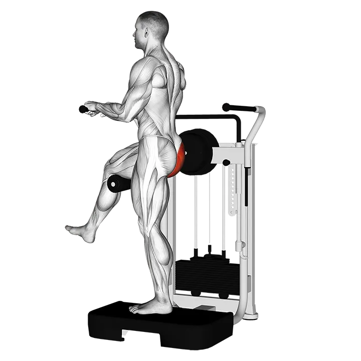 Lever Standing Rear Kick exercise animation (Male)